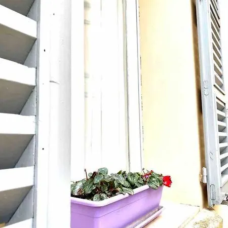 Apartman Vintage New *